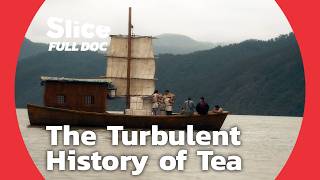 Robert Fortune on How Tea Was Stolen From the Chinese  FULL DOCUMENTARY [upl. by Zsa631]