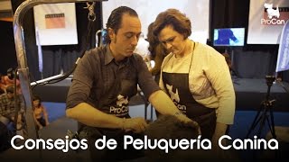 Consejos de Peluquería Canina  Hugo Pesquera  ProCan  Propet 2016 [upl. by Coyle752]