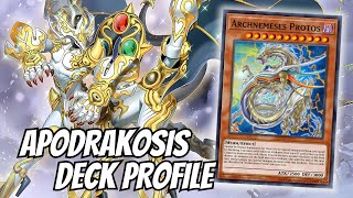 Unleashing the Most BROKEN Deck of 2024  Apodrakosis Archetype [upl. by Attenyt688]