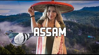 WHY I WENT TO ASSAM ON DIWALI [upl. by Engamrahc235]