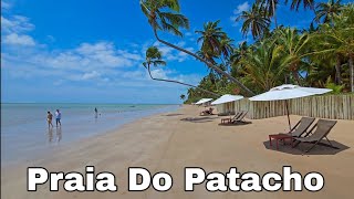 Praia Do Patacho Porto De Pedras Alagoas [upl. by Agate151]