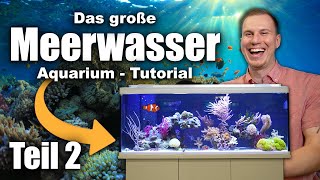 Das Meerwasseraquarium TUTORIAL Teil 2  Fische Wasserwerte Dosierung LOWBUDGET [upl. by Laurinda765]