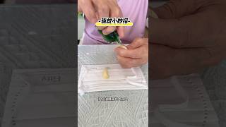 驱蚊小妙招 便宜还好用驱蚊生活小妙招 小妙招大作用 实用小技巧 [upl. by Ennaisoj]