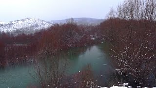 ЗАТОПИЛО деревья на Симферопольском водохранилище вода в Крыму Крым 2022 [upl. by Dennison]