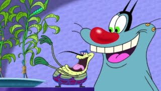 NEW FRIEND  Oggy and the Cockroaches S02E09 BEST CARTOON COLLECTION  New Episodes in HD [upl. by Dis]