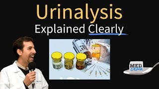 Urinalysis Interpretation Explained Clearly  Glucose amp Ketones in Urine [upl. by Pessa385]