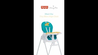 Tiny Bites High Chair  Fisher Price by Dream On Me [upl. by Anotyal171]