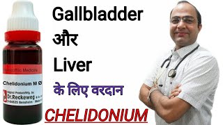 Chelidonium Fatty Liver  gall bladder stone  Jaundice [upl. by Ayatan]