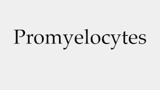 How to Pronounce Promyelocytes [upl. by Onairda967]