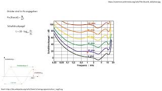 Physiologie  Zusammenhang zwischen Dezibel und Phon Skala [upl. by Nolrak]