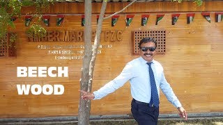 EP03 Beech Wood  TIMBER MARKET video profile  HINDI [upl. by Prunella683]