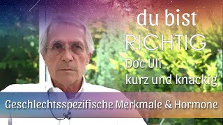 Doc Uli erklärt kurz und knackig wie sich die geschlechtsspezifischen Merkmale entwickeln [upl. by Anilejna92]