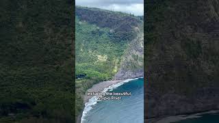 Fascinating facts about Waipio Valley Lookout shortsvideo nature travel [upl. by Aneez]