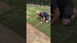 How To Install Sod [upl. by Berfield]