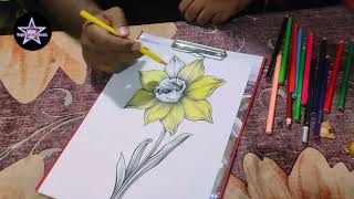 How To Colour A Gorgeous Calendula Flower With Yellow amp Pink Colour 🌼🌼🌼  Full Colour Art Tutorial [upl. by Ayhay]