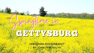 GETTYSBURG PA in the SPRING Local Photographer captures beautiful photos [upl. by Boigie]