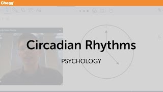 Circadian Rhythms  Psychology  Chegg Tutors [upl. by Llenrub]