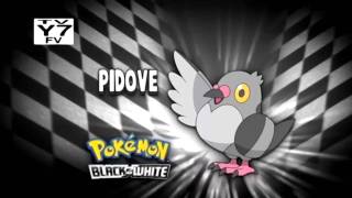 Pokemon Black and White  Return of Whos that Pokemon 1 HD [upl. by Akiaki]