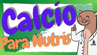 ¿Qué es y para qué sirve el Calcio  Calcio en Nutrición [upl. by Eelanej]