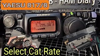 Yaesu FT8178 Select Cat Rate amp Data  ACC Explained [upl. by Glaab]