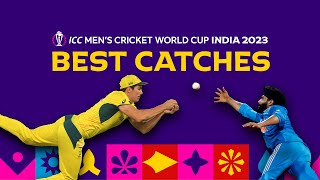 All the best catches from Cricket World Cup 2023 😱 [upl. by Lauretta880]