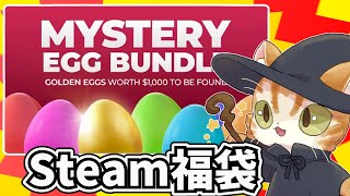 【steam福袋】Fanatical Mystery Egg Bundle10口開封してみた [upl. by Thomson967]