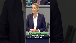 Alice Weidel StromkostenDrama  Wirtschafts und WissenschaftsNonsense enthüllt [upl. by Enilrahc270]