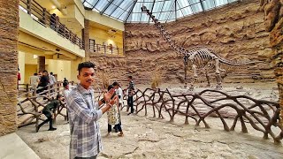 dinosaur 🦖🦕 park balasinor 🔥 village viralvideo dinosaur vlog [upl. by Qirat]