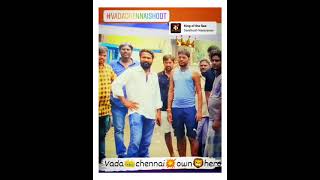 🔥⚡vadachennai real king👑 mylapore sivakumar 👿Tiger G 🐯 [upl. by Phelan]