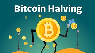 What is Bitcoin Halving Explained by CoinGecko [upl. by Weiss]