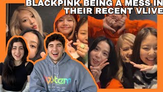 MISSED THEM BLACKPINK being a mess on their recent vlive REACTION [upl. by Elyrrad685]