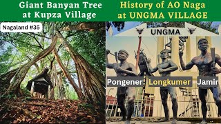 Vsolo Visits GiANT Banyan Tree at KUPZA Village then visits UNGMA Village for AO history  Nagaland [upl. by Pinelli]