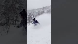 3102024 最高のPowder Snowboarding꒰ ´͈ω͈꒱ [upl. by Chaddy]