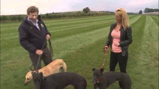 Mark Johnston training greyhounds [upl. by Ydor]