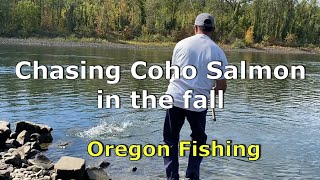 Chasing Coho Salmon in the fall Oregon fishing [upl. by Brunhilde]