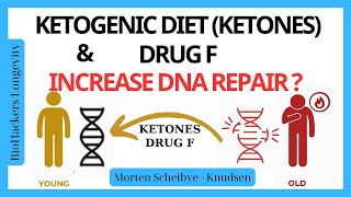 The Keto Diet Heals Your DNA Heres How [upl. by Aicilak]