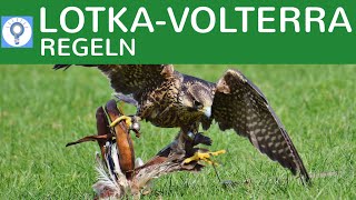 LotkaVolterraRegeln  RäuberBeuteBeziehung  Regulation von Populationen einfach erklärt 1 [upl. by Alieka]