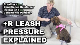 Leash Pressure trained with R EXPLAINED  Professional Dog Training [upl. by Ellenej166]