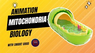 Mitochondria Cell Biology  Animation  Structure and Function  Animated 3D Model [upl. by Mungo358]