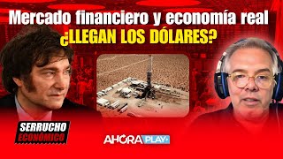 Mercado financiero y economía real ¿LLEGAN LOS DÓLARES  Claudio Zlotnik serruchoeconómico [upl. by Savannah]