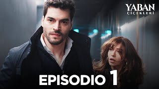 Yaban Çiçekleri  Episodio 1 Sottotitolato in italiano [upl. by Bathesda]