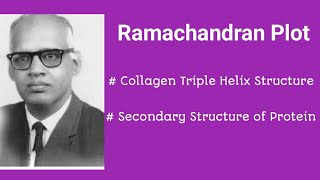 RAMACHANDRAN PLOT COLLAGEN HELIX collagen protein [upl. by Zerelda]