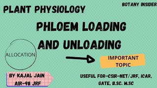 Plant PhysiologyPhloem Loading and Unloading Mechanism  Allocation of Resources CSIRNET JRF [upl. by Hirsh431]