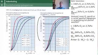 Hoe lees ik een zuurstofverzadigingsdiagram BINAS83D [upl. by Phalan]