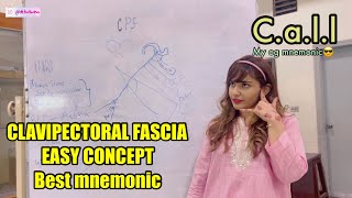 Clavipectoral Fascia BEST MNEMONIC amp EXPLANATION MADE EASY WITH Dr hasana [upl. by Idok]