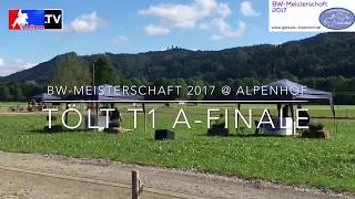 Tölt T1 AFinale  BWMEISTERSCHAFT 2017 Alpenhof [upl. by Lleunamme]