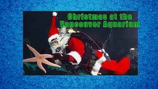 Christmas at the Vancouver Aquarium with Scuba Claus amp 4D Polar Express Experience [upl. by Adahs]