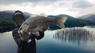 Biggest Topwater Hinze Dam Bass EVER [upl. by Cassil]