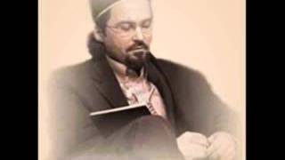 Hamza Yusuf  Food For Thought [upl. by Ten]