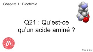 Chapitre 1  Biochimie  Q21  Questce quun acide aminé [upl. by Yarled896]